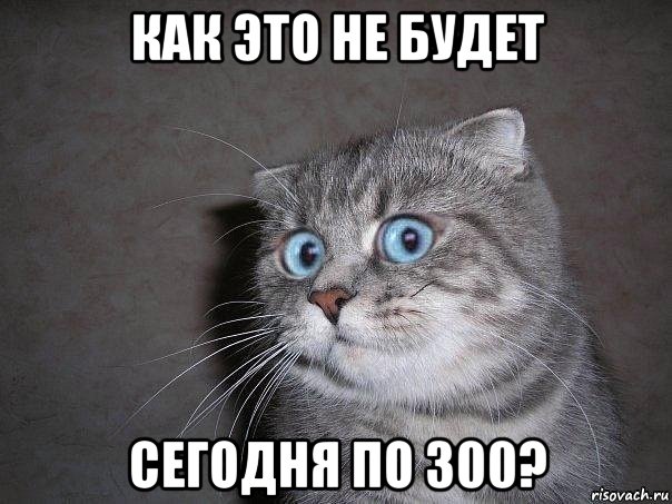 как это не будет сегодня по 300?, Мем  удивлённый кот