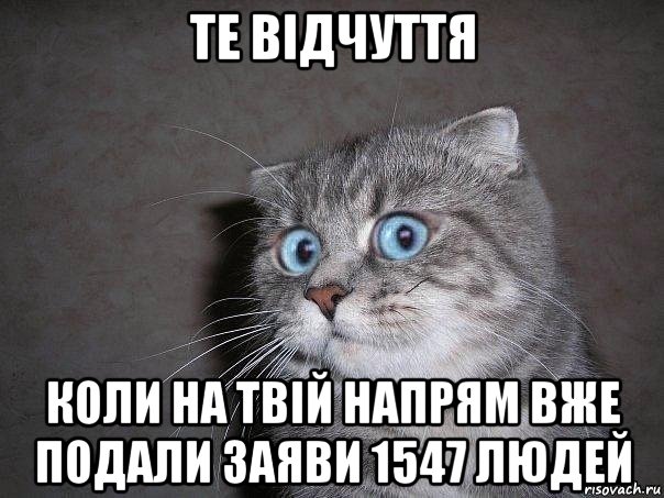 те відчуття коли на твій напрям вже подали заяви 1547 людей, Мем  удивлённый кот