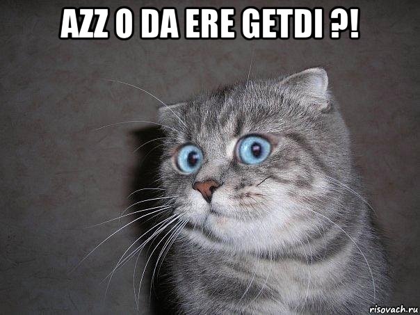 azz o da ere getdi ?! , Мем  удивлённый кот