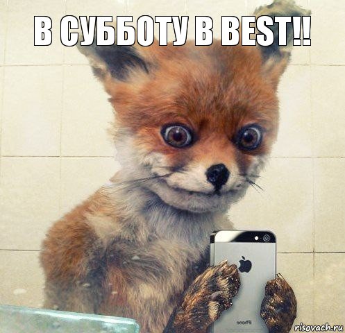 в субботу в BEST!!, Комикс Селфи упоротой лисы