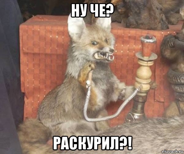 ну че? раскурил?!