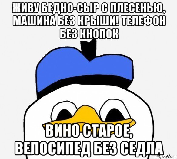 живу бедно-сыр с плесенью, машина без крыши! телефон без кнопок вино старое, велосипед без седла, Мем Утка