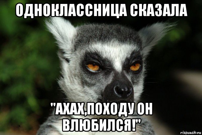 одноклассница сказала "ахах,походу он влюбился!", Мем   Я збагоен