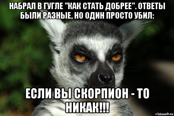 набрал в гугле "как стать добрее". ответы были разные, но один просто убил: если вы скорпион - то никак!!!, Мем   Я збагоен