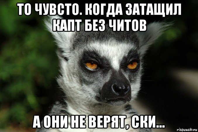 то чувсто. когда затащил капт без читов а они не верят, ски..., Мем   Я збагоен