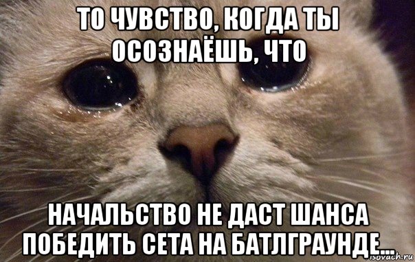 то чувство, когда ты осознаёшь, что начальство не даст шанса победить сета на батлграунде..., Мем   В мире грустит один котик