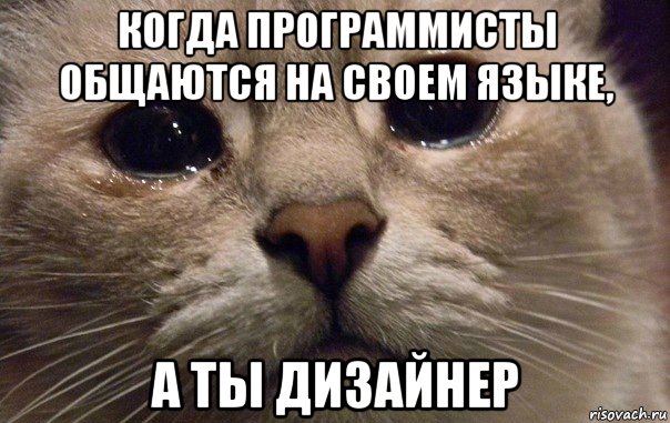 когда программисты общаются на своем языке, а ты дизайнер, Мем   В мире грустит один котик