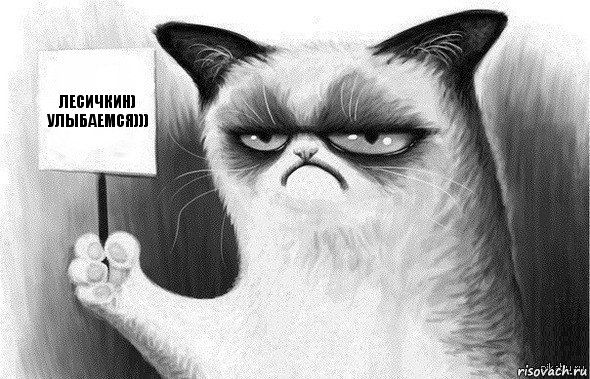Лесичкин) улыбаемся))), Комикс Угрюмый кот с табличкой