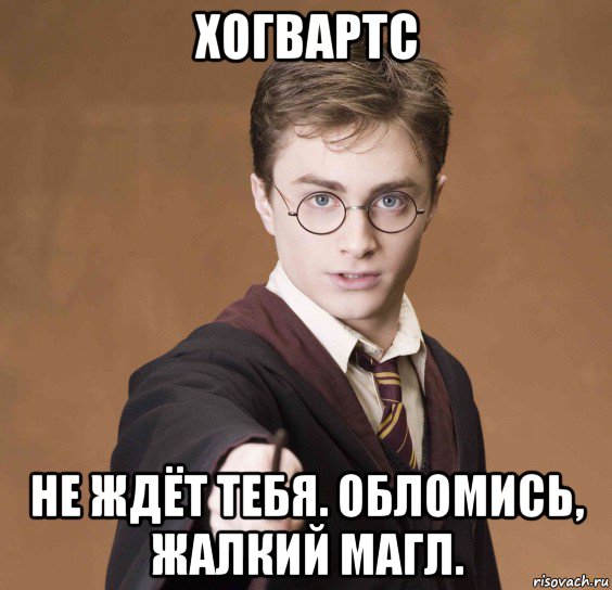 хогвартс не ждёт тебя. обломись, жалкий магл., Мем  Весёлый волшебник