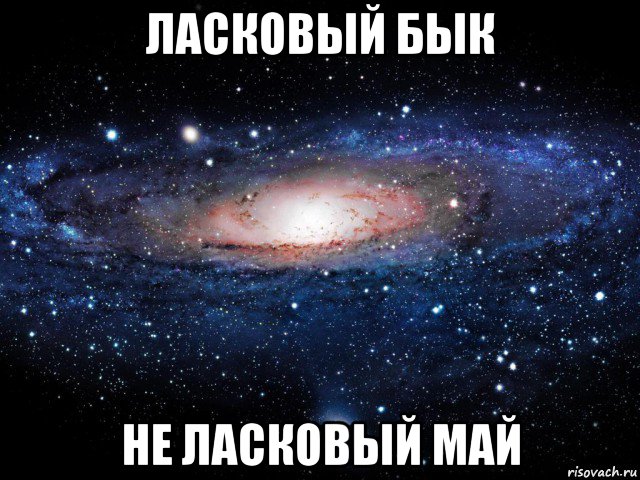 ласковый бык не ласковый май, Мем Вселенная