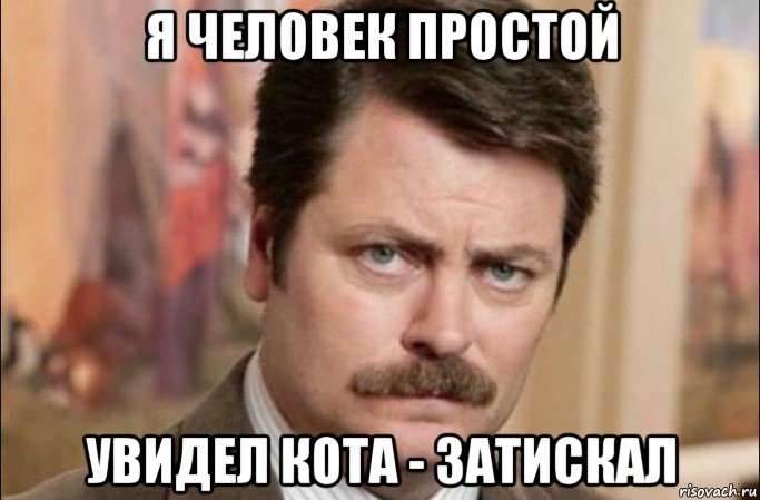 я человек простой увидел кота - затискал, Мем  Я человек простой