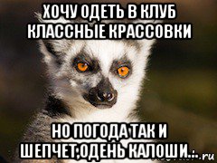 хочу одеть в клуб классные крассовки но погода так и шепчет,одень калоши..., Мем Я збагоен