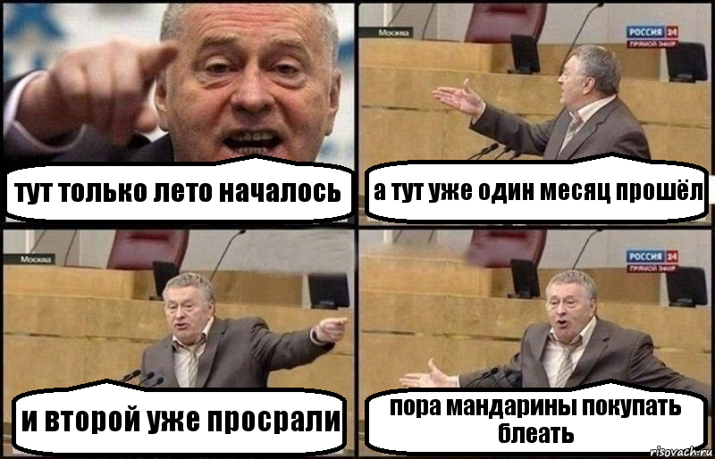 тут только лето началось а тут уже один месяц прошёл и второй уже просрали пора мандарины покупать блеать, Комикс Жириновский