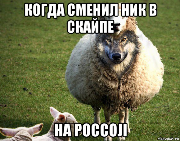 когда сменил ник в скайпе на poccoji, Мем Злая Овца