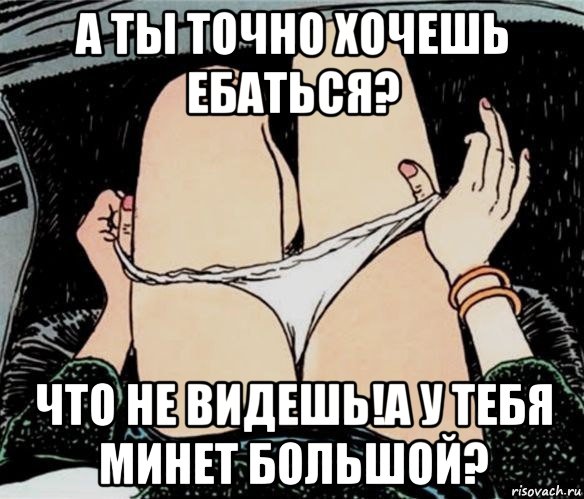 а ты точно хочешь ебаться? что не видешь!а у тебя минет большой?, Мем А ты точно