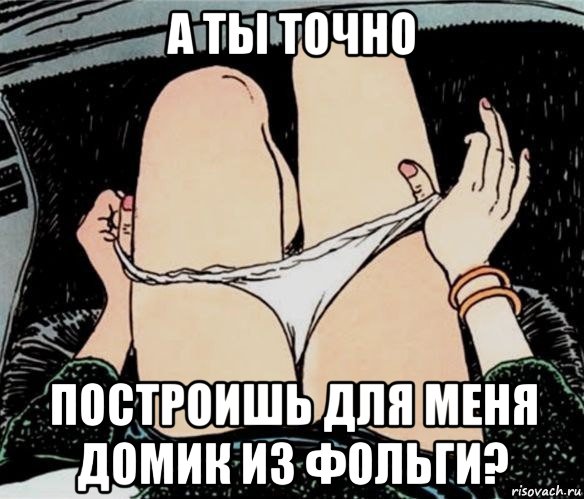 а ты точно построишь для меня домик из фольги?, Мем А ты точно