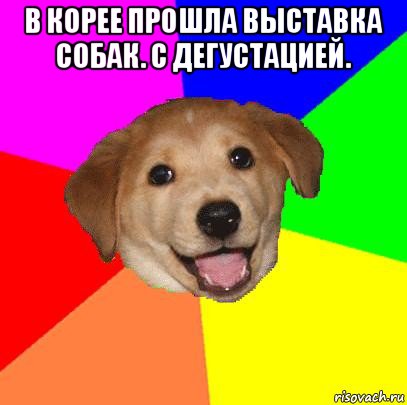 в корее прошла выставка собак. с дегустацией. , Мем Advice Dog