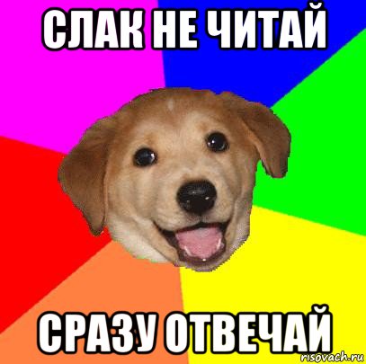 слак не читай сразу отвечай, Мем Advice Dog