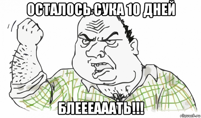 осталось сука 10 дней блеееааать!!!, Мем Будь мужиком