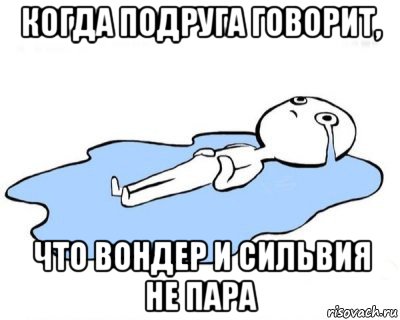 когда подруга говорит, что вондер и сильвия не пара, Мем   человек в луже плачет