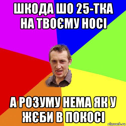 шкода шо 25-тка на твоєму носі а розуму нема як у жєби в покосі, Мем Чоткий паца