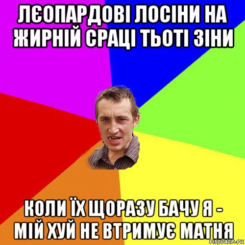 лєопардові лосіни на жирній сраці тьоті зіни коли їх щоразу бачу я - мій хуй не втримує матня, Мем Чоткий паца