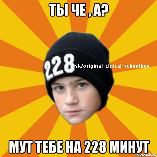 ты че , а? мут тебе на 228 минут, Мем  Циничный школьник