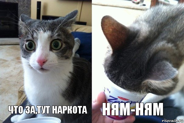 Что за,тут наркота НЯМ-НЯМ, Комикс  Да не бред-какой-то (2 зоны)