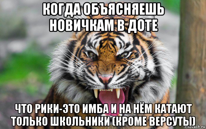 когда объясняешь новичкам в доте что рики-это имба и на нём катают только школьники (кроме версуты), Мем ДЕРЗКИЙ ТИГР