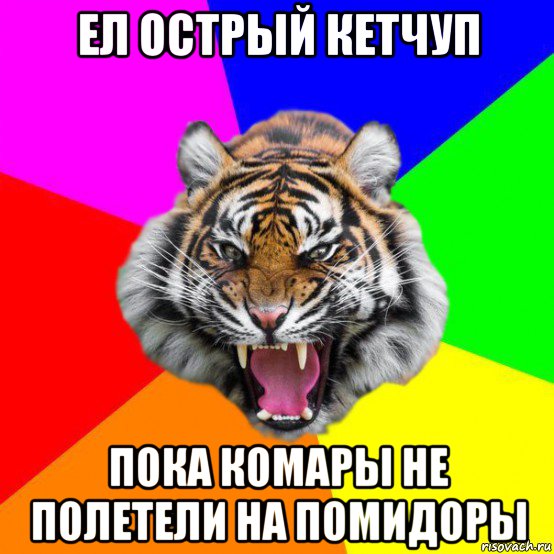 ел острый кетчуп пока комары не полетели на помидоры, Мем  ДЕРЗКИЙ ТИГР