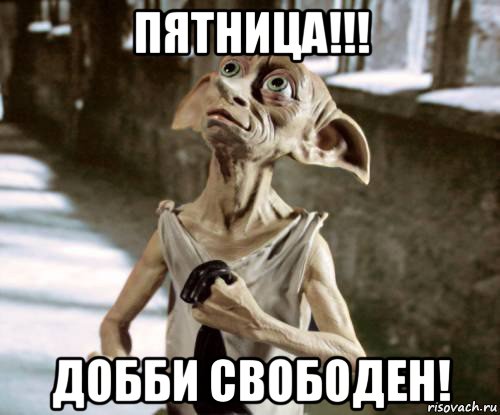 пятница!!! добби свободен!, Мем добби