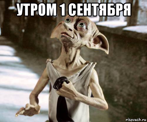 утром 1 сентября , Мем добби