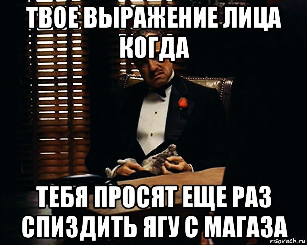 твое выражение лица когда тебя просят еще раз спиздить ягу с магаза, Мем Дон Вито Корлеоне