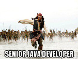  senior java developer, Мем Джек воробей