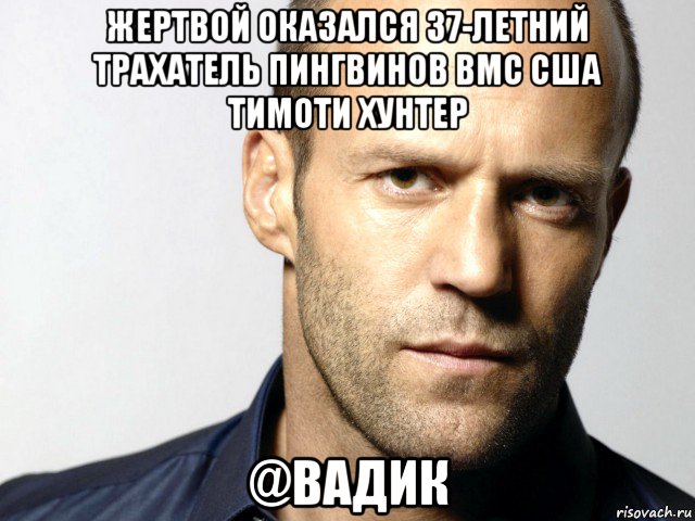 жертвой оказался 37-летний трахатель пингвинов вмс сша тимоти хунтер @вадик, Мем Джейсон Стэтхэм