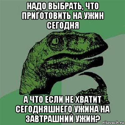 надо выбрать, что приготовить на ужин сегодня а что если не хватит сегодняшнего ужина на завтрашний ужин?, Мем Филосораптор