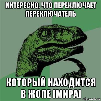 интересно, что переключает переключатель который находится в жопе [мира], Мем Филосораптор