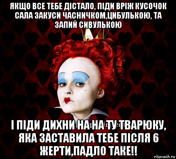 якщо все тебе дістало, піди вріж кусочок сала закуси часничком,цибулькою, та запий сивулькою і піди дихни на на ту тварюку, яка заставила тебе після 6 жерти,падло таке!!, Мем ФлегматичнА КоролевА ФаК