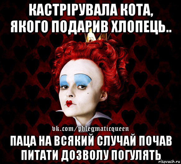 кастрірувала кота, якого подарив хлопець.. паца на всякий случай почав питати дозволу погулять