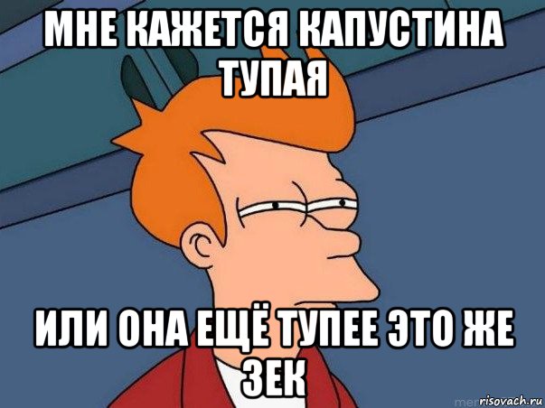 мне кажется капустина тупая или она ещё тупее это же зек, Мем  Фрай (мне кажется или)