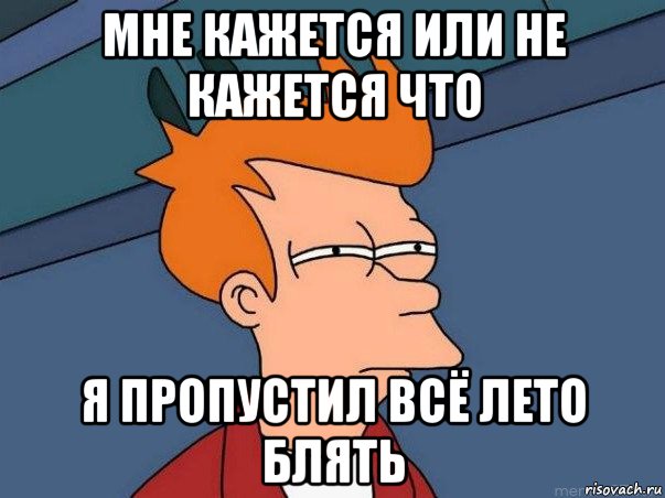 мне кажется или не кажется что я пропустил всё лето блять, Мем  Фрай (мне кажется или)