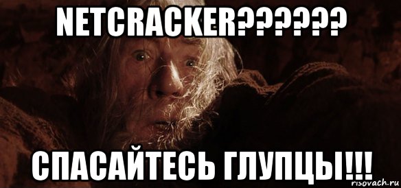 netcracker?????? спасайтесь глупцы!!!, Мем Гендальф (Бегите глупцы)