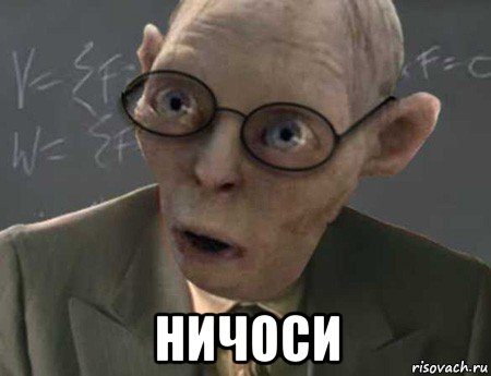  ничоси