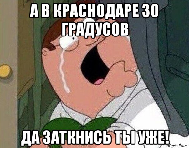 а в краснодаре 30 градусов да заткнись ты уже!, Мем Гриффин плачет