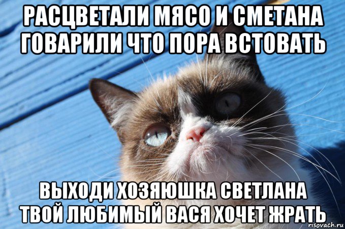 расцветали мясо и сметана говарили что пора встовать выходи хозяюшка светлана твой любимый вася хочет жрать