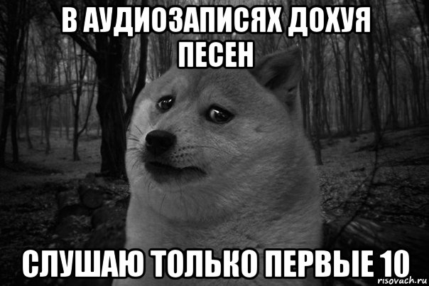 в аудиозаписях дохуя песен слушаю только первые 10, Мем    Грусть-пичаль