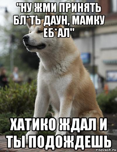 "ну жми принять бл*ть даун, мамку еб*ал" хатико ждал и ты подождешь, Мем  Хатико ждет