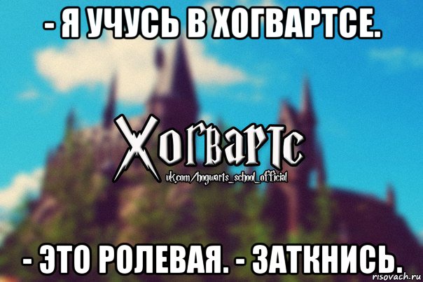 - я учусь в хогвартсе. - это ролевая. - заткнись., Мем Хогвартс