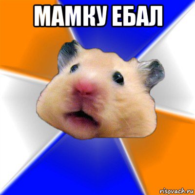 мамку ебал , Мем Хомяк