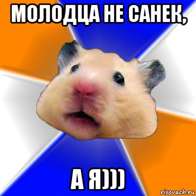 молодца не санек, а я))), Мем Хомяк